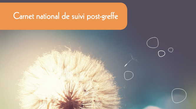 Carnet de suivi post greffe adulte 